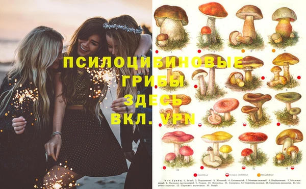 mdpv Нефтекумск