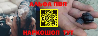 кокс Гатчина