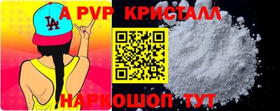 кокс Гатчина