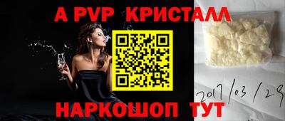 крисы Гагарин