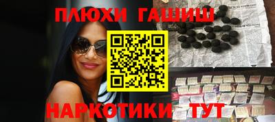 кокс Гатчина