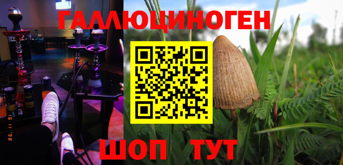 Галлюциногенные грибы MAGIC MUSHROOMS  Псилоцибиновые грибы ЛСД  цены   Вход с VPN  Санкт-Петербург 
